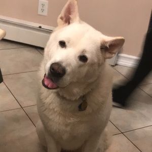 Meet your Posher, Marissa